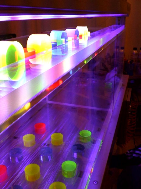 UV-Kleber mit Lisa und farblos UV-Kleber mit Lisa und farblos